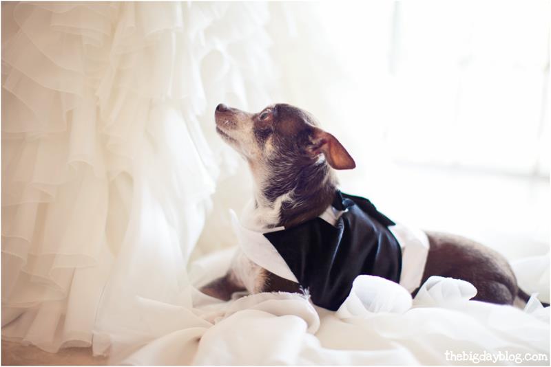 Islamorada_wedding_FL_Keys_photography_5