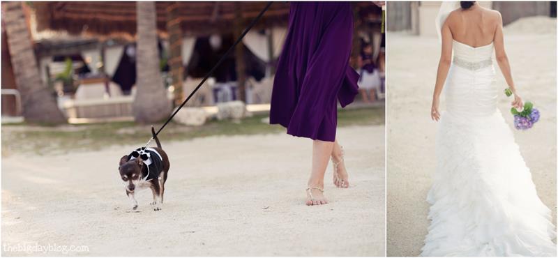 Islamorada_wedding_FL_Keys_photography_8