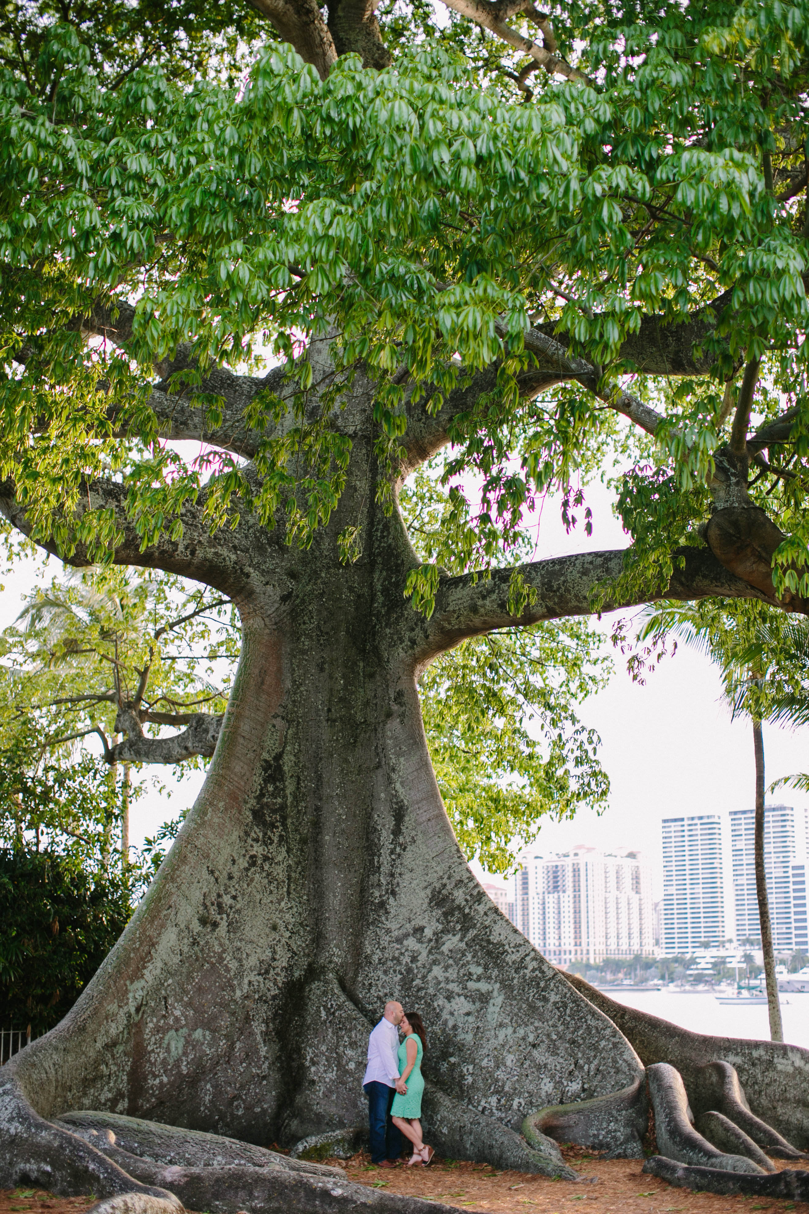 View More: http://thebigday.pass.us/meghanbill