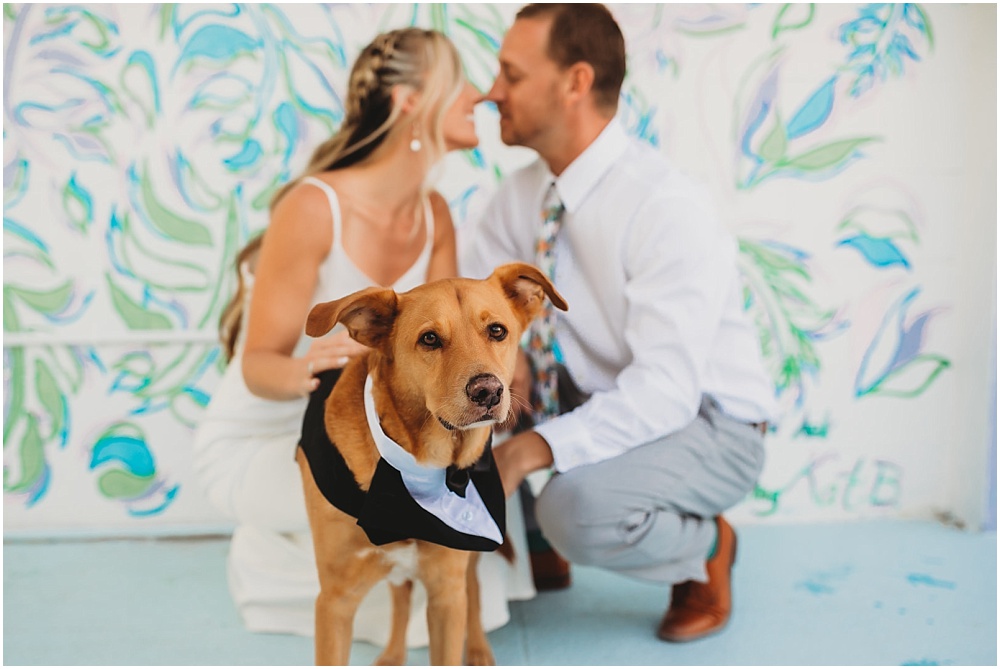 bride and groom with dog